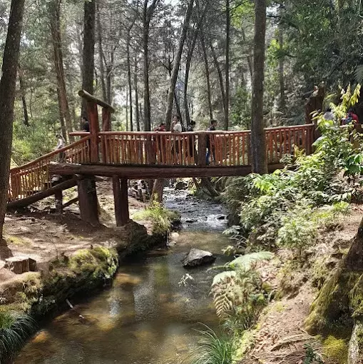 Parque Arví